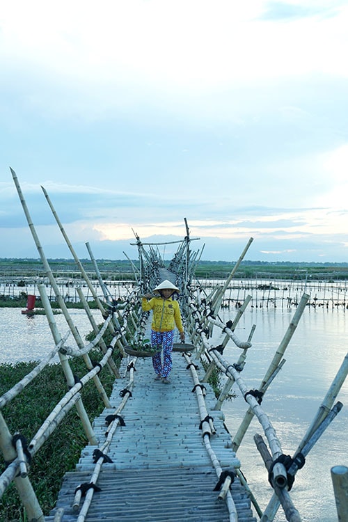 Người dân đi lại trao đổi hàng hóa.