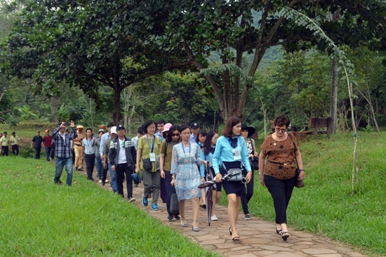 Không gian sinh thái Mỹ Sơn cũng gây ấn tượng mạnh với đoàn