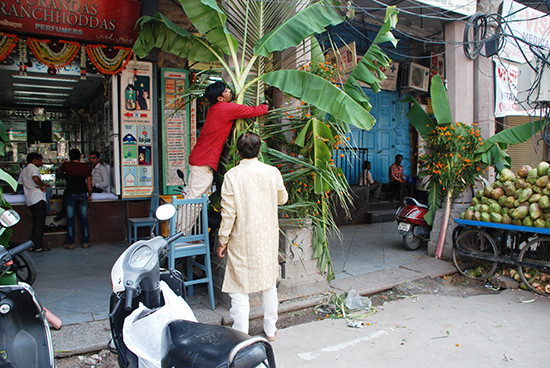 Người Ấn thường mua cây chuối hoặc lá xoài để trang trí trước cổng, hiên nhà và cửa hàng.