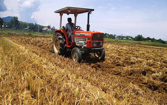 nhiều HTXNN mạnh dạn đưa cơ giới hóa vào đồng ruộng nhằm giải phóng sức lao động, giảm chi phí đầu tư cho nhà nông. Ảnh: VĂN SỰ 