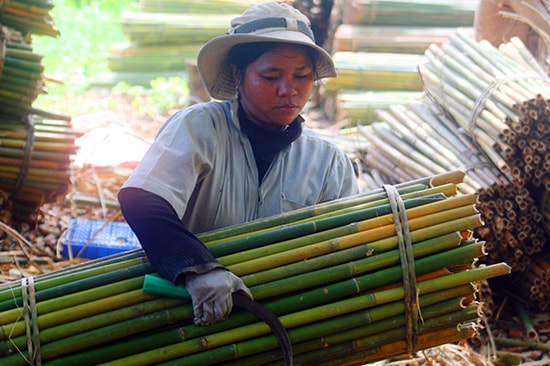 Nhiều người dân vùng cao chủ yếu thu nhập dựa vào công việc thời vụ nên khó khăn để giữ được tiêu chí của NTM.  Ảnh:  ALĂNG NGƯỚC