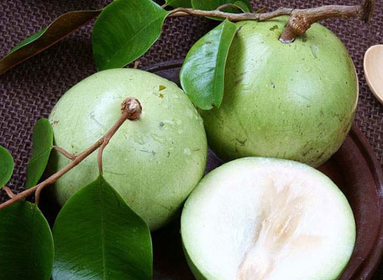 Thịt quả vú sữa có rất nhiều canxi, sắt, Vitamin… đặc biệt có chứa thành phần axit malic phòng ngừa bệnh nám da, kháng khuẩn.