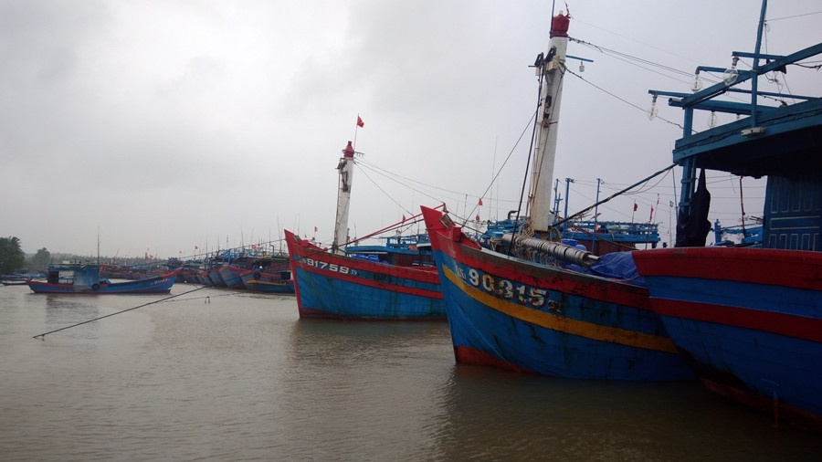 Các tàu thuyền neo đậu an toàn tại âu thuyền An Hòa (xã Tam Quang)