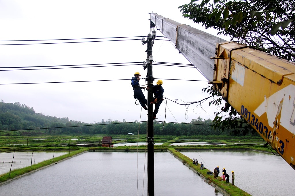 Các công nhân Điện lực TP.Tam Kỳ đang tích cực khắc phục sự cố đường dây. Ảnh: C.N