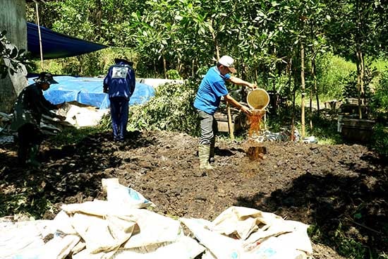 Ông Phi tham gia thực hiện các công đoạn sản xuất phân vi sinh.Ảnh: N.Đ.NGỌC