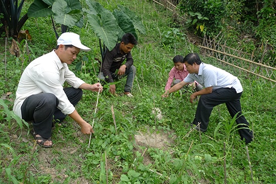 Nam Trà My đang triển khai hiệu quả mô hình “3 cán bộ giúp một hộ dân thoát nghèo bền vững”.