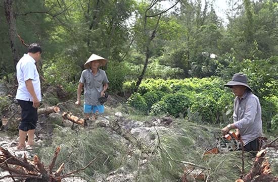 Các hộ dân tại thôn Tây Giang, xã Bình Sa, Thăng Bình sẵn sàng đổi đất, hiến cây để có nước sản xuất. Ảnh: BIÊN THỰC