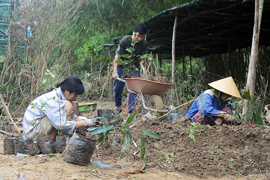 Những người trẻ của An Nhiên Farm tu sửa lại vườn ươm giống cây bản địa, cây cải tạo đất... 