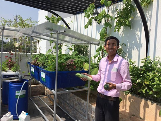 Nguyen Quoc Phong and his model of vegetable garden in urban houses.