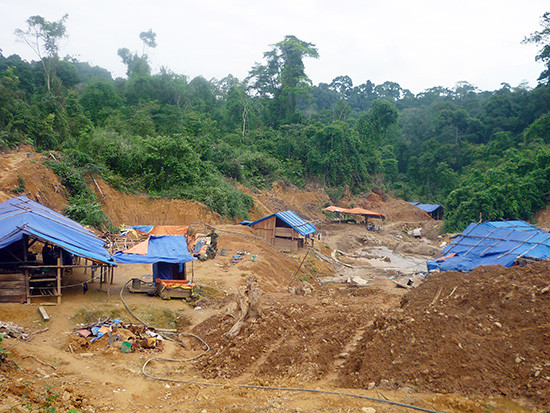  Vẫn chưa có biện pháp giải quyết rốt ráo nạn khai thác vàng trái phép ở vùng giáp ranh 2 huyện Phú Ninh và Tiên Phước.