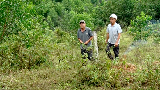 Nghĩa trang nhân dân thôn Nông Sơn được quy hoạch rộng hơn 1,5ha, các ngôi mộ buộc phải xây dựng theo một quy chuẩn. Ảnh: PHAN VINH