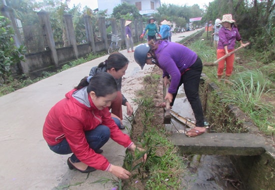 Trồng hoa thay cỏ dại. Ảnh: V.P