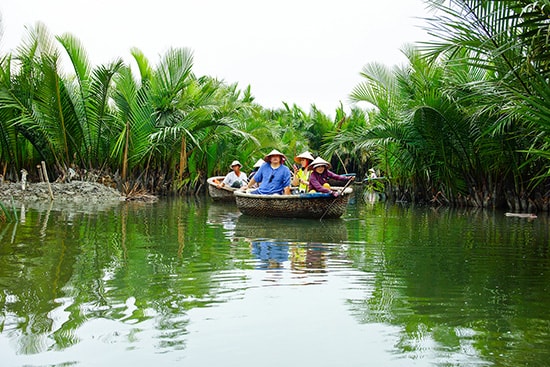 Du khách tham quan rừng dừa Bảy Mẫu (xã Cẩm Thanh - Hội An). Ảnh: PHƯƠNG THẢO