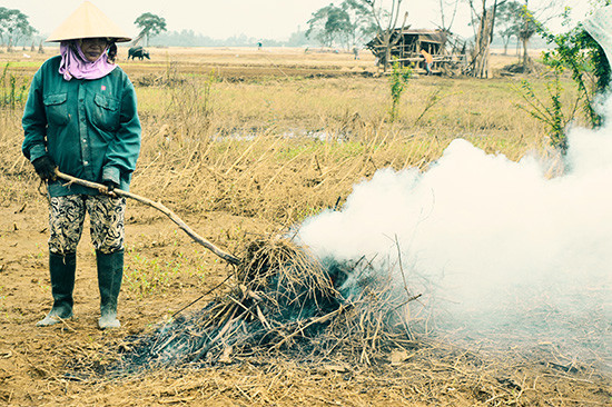 Người dân đốt cỏ trên bãi biền.