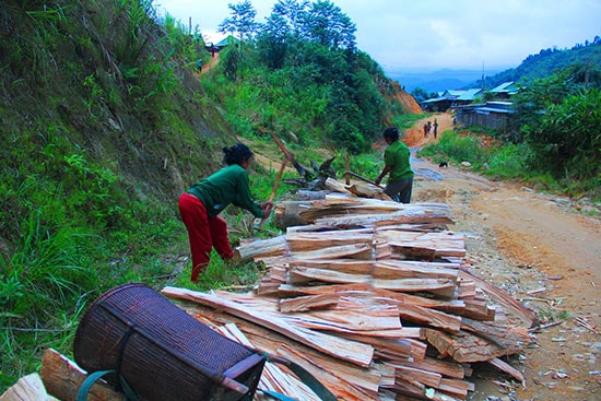 Những phụ nữ vùng cao tranh thủ bổ củi khô mang về nhà dùng trong mùa đông giá rét.