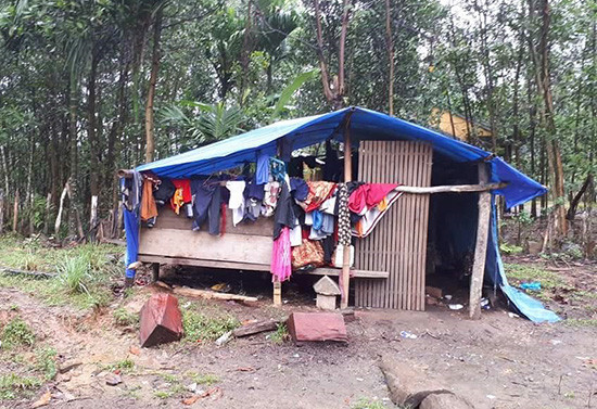 Nhiều người dân tại xã Trà Bui vẫn đang phải sống trong những căn nhà tạm, chờ tìm vị trí mới để dựng nhà.Ảnh: T.L