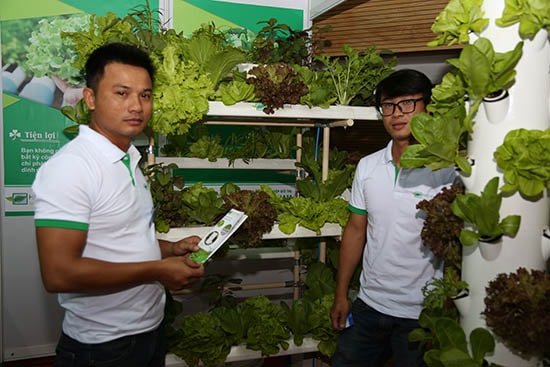 Dự án H2O Farm hưởng ứng phong trào khởi nghiệp nông nghiệp công nghệ cao do anh Nguyễn Quốc Phong (quê Quảng Nam) sáng lập. Ảnh: Q.TUẤN