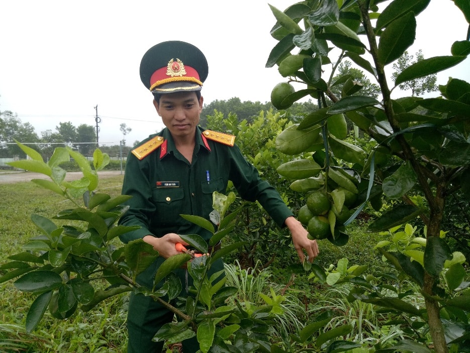 Đại úy Trần Duy Toàn chăm sóc vườn chanh không hạt do đơn vị  mình sản xuất - Ảnh: THANH THẮNG.