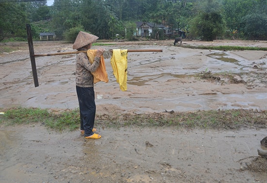 Bà Nguyễn Thị Cúc (thôn Dương Tân, xã Trà Dương) cho biết: “Phần lớn ruộng kề chân núi ở đây đều bị bồi lấp, không canh tác được”.