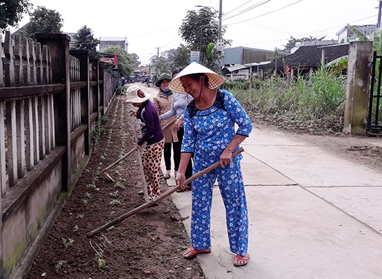 Trồng hoa thay cỏ làm đẹp đường quê. Ảnh: TRIÊU NHAN