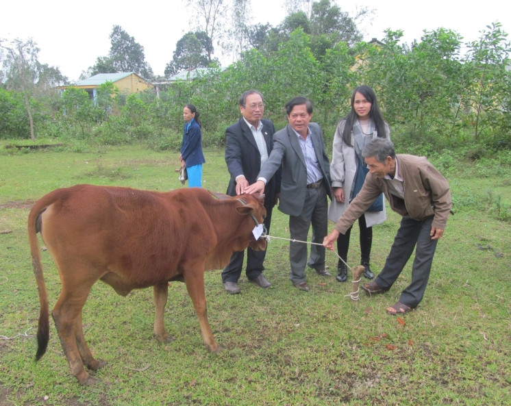 Trao bò cho người khuyết tật có hoàn cảnh khó khăn tại Thăng Bình. Ảnh: M.L
