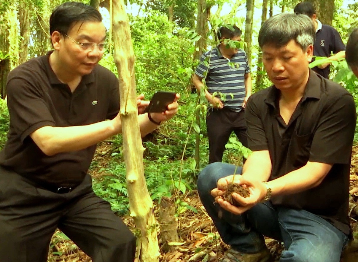 Minister of Science and Technology Chu Ngoc Anh visited a Ngoc Linh ginseng garden in Nam Tra My district (Quang Nam) in 2017