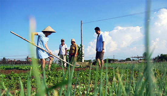 Du khách tham gia tour “Một ngày làm nông dân làng rau Trà Quế”.