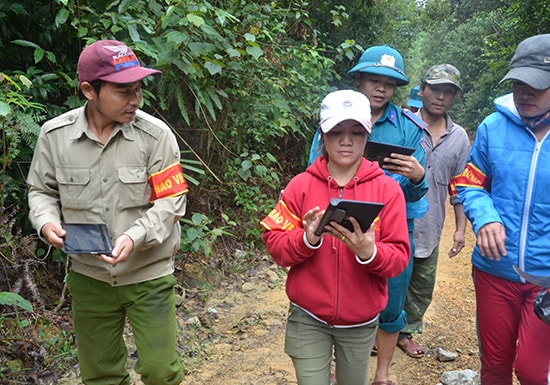 Mô hình tuần tra rừng bằng công nghệ sẽ nhân rộng địa bàn trong tương lai. TRONG ẢNH: Người Cơ Tu xã Tư (Đông Giang) dùng máy tính bảng iPad trong tuần tra rừng. Ảnh: T.N