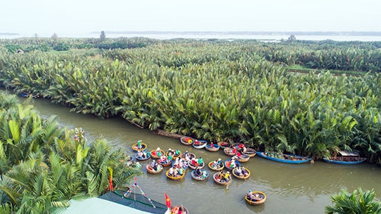 Đắm mình trong không gian xanh của sông nước và rừng dừa.