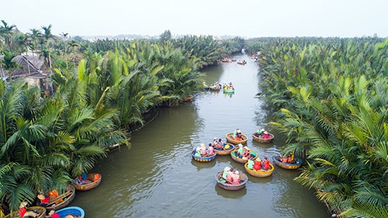 Du khách tham quan rừng dừa.