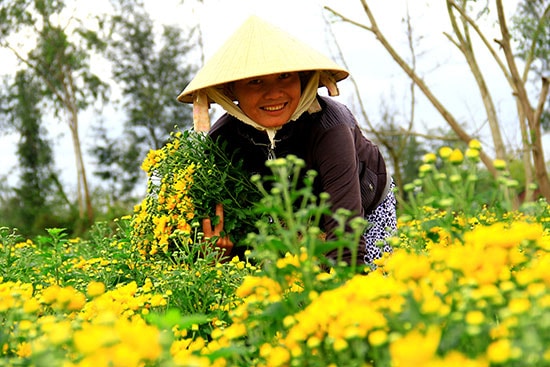 Trời cứ rét dài, đến độ thèm quá một chút nắng “non” của tiết xuân trong những ngày cuối tháng Chạp. Những tất bật càng nhiều hơn, khi cuộc mưu sinh còn chộn rộn mà lòng thì đã quay quắt nghĩ về quê nhà. Như những cánh chim mải vui mà bay xa, tết, là lúc để họ trở về.