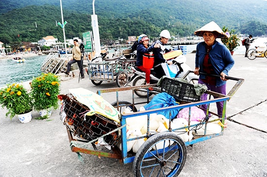 Gia cầm được chuyển ra đảo để đón tết. Ảnh: MINH HẢI