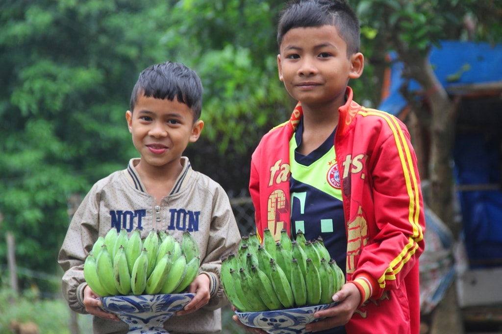 Những em nhỏ cùng phụ giúp gia đình bưng các nải chuối thờ tết.