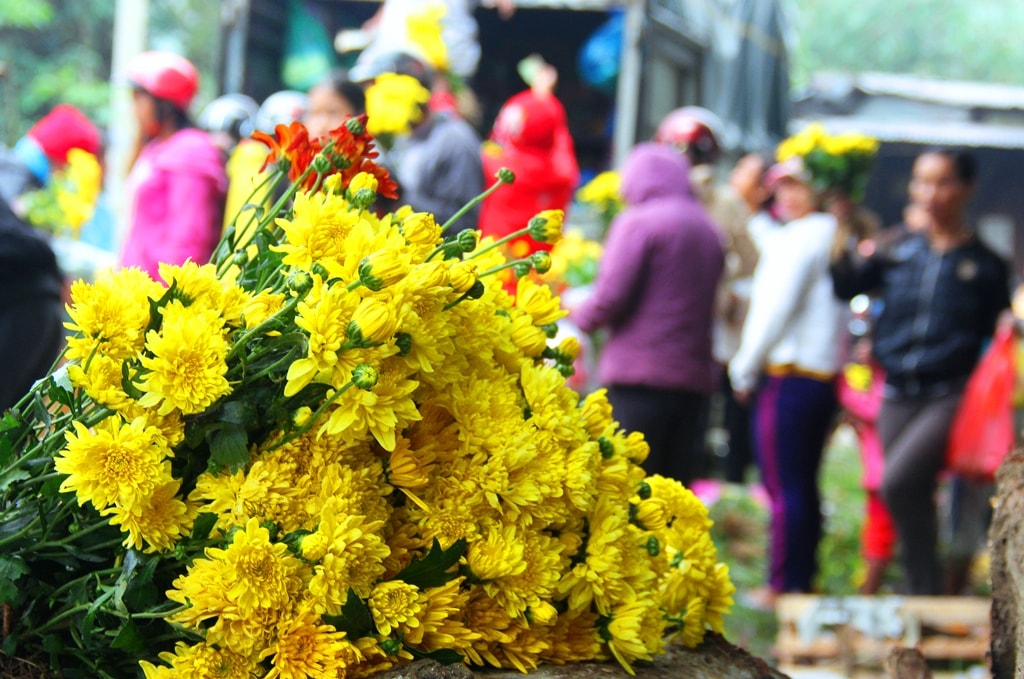 Những năm gần đây, bên cạnh mâm ngủ quả, trên bàn thờ tổ tiên ngày tết đồng bào vùng cao còn trang trí hoa cúc, hoa chi trắng, chi đỏ theo lối hiện đại. Vì thế, tại các phiên chợ vùng cao luôn rực rỡ sắc màu hoa tết.