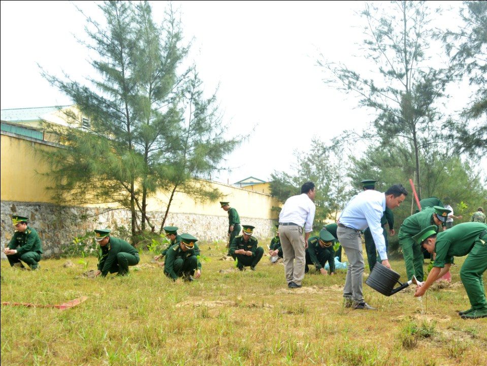 Trồng keo xung quanh Đồn Biên phòng