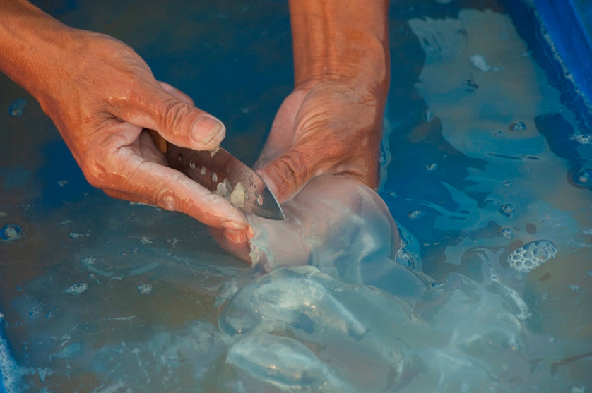 Bàn tay chai sần của một chủ thuyền đang làm sạch sứa