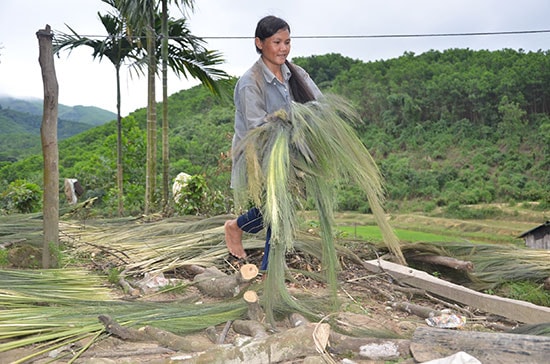  Đời sống của người dân Nam Trà My còn khó khăn, phụ thuộc vào rừng.