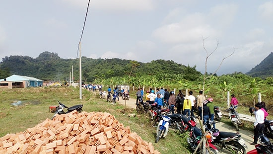 Không ai ngờ từ quả núi lớn, giờ thành một vùng bằng phẳng, xanh um.