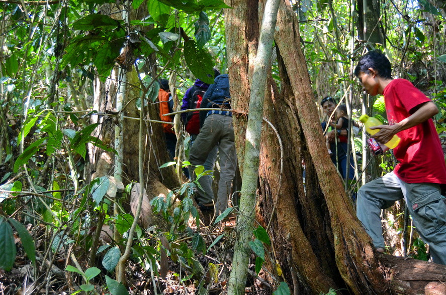 Người dân Taba Padang học cách vừa kiếm thu nhập, vừa bảo vệ rừng tốt nhất. Ảnh: virtualadrian.