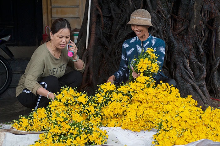  Những bông hoa dân dã được cắt từ nhà đem đi bán .