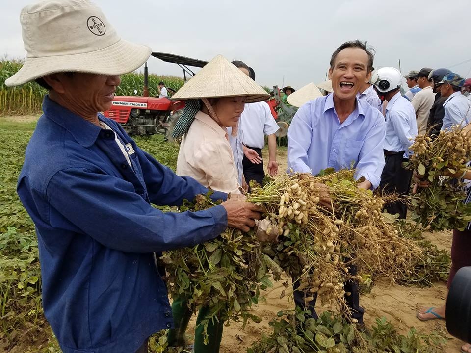 Nông dân phấn khởi với vụ lạc bội thu, Ảnh: Q.T