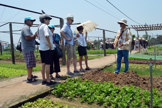 Du lịch Quảng Nam có nhiều phát triển trong thời gian qua