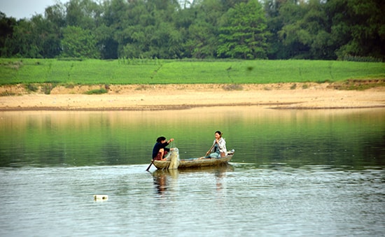 Người dân chèo thuyền đánh cá mòi trên sông Thu Bồn. Ảnh: XUÂN THỌ