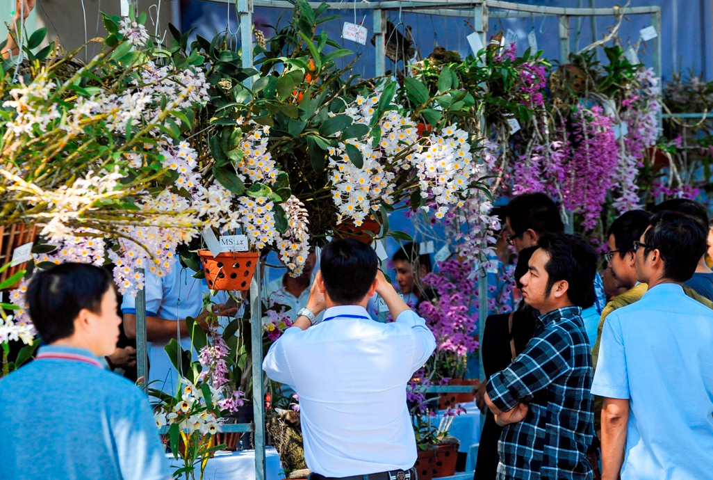 Hội thi trưng bày thu hút đông đảo người dân đến thăm quan, chiêm ngưỡng trong sáng 22-4.