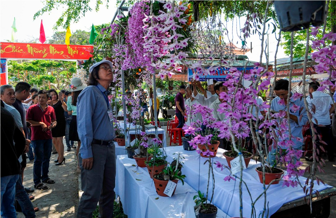 Hội thi trưng bày thu hút đông đảo người dân đến thăm quan, chiêm ngưỡng trong sáng 22-4.