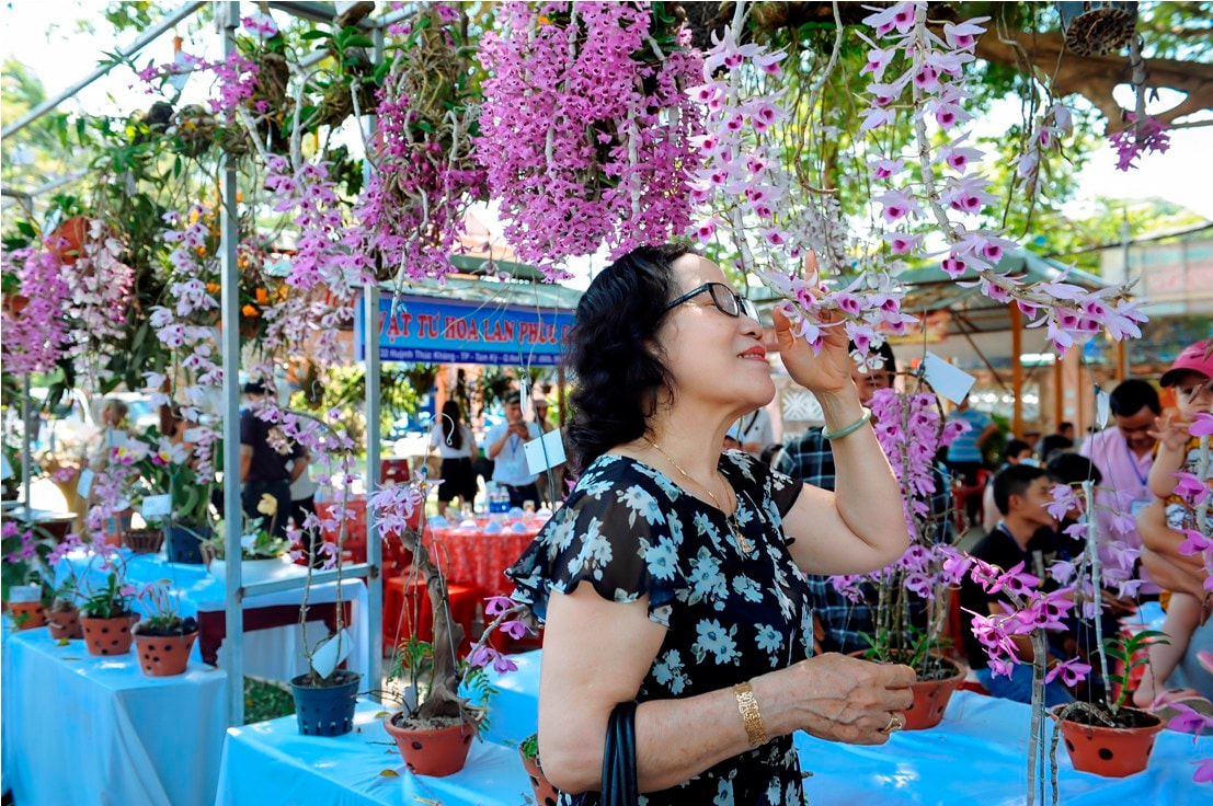 Người dân đến tham quan, chiêm ngưỡng hoa lan.