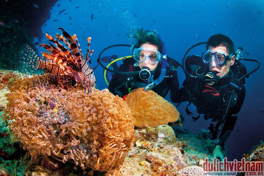 Tourists are divivng in Mui Da Trang- a heaven under the sea bottom in Cham Islands