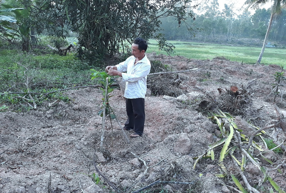 Anh Đặng Văn Thảo (người dân thôn Vĩnh Trinh) đang chăm sóc vườn cây ăn quả vừa trồng (Ảnh: Lê Trâm)