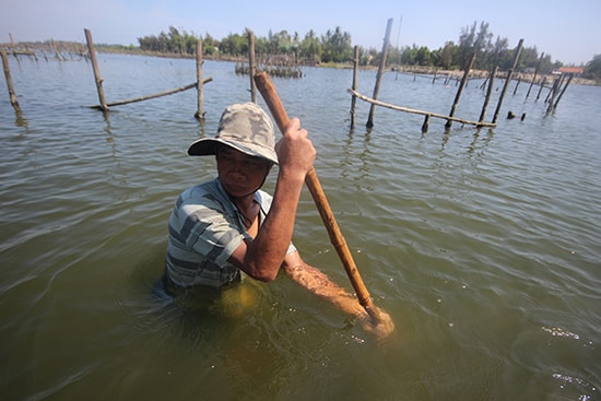 Thợ cào hến dầm mình trong nước hàng giờ đồng hồ.Ảnh: T.C