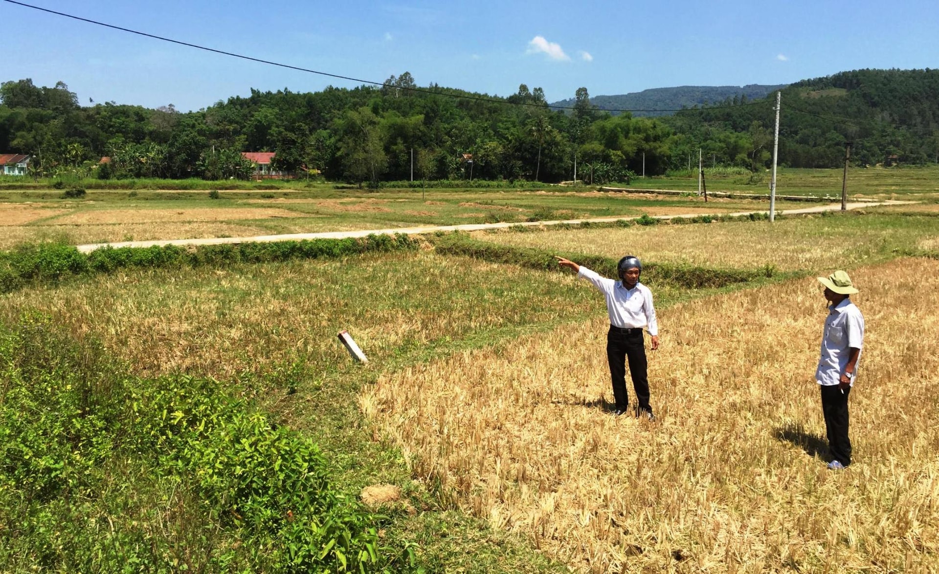 Người dân cho rằng, bỏ hoang 60ha đất canh tác trong vụ hè thu là lãng phí. Ảnh: PHAN VINH